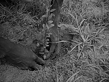 La politica estera europea nella delicata regione del Sahel